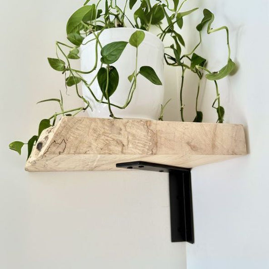Wooden plant holder with a plant on a white background