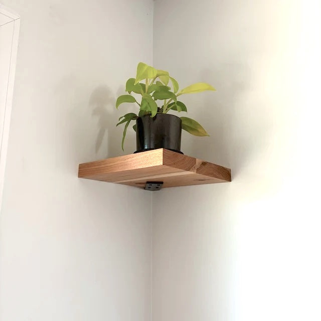 corner shelf with plant on it